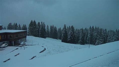 flumserberg tannenboden webcam|Webcams 